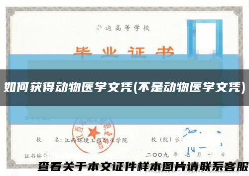 如何獲得動物醫學文憑(不是動物醫學文憑)縮略圖