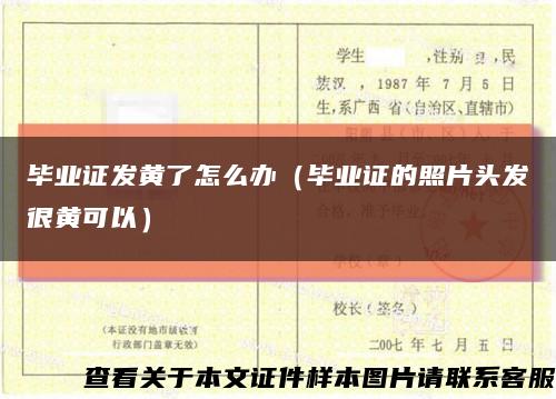 畢業證發黃了怎么辦（畢業證的照片頭發很黃可以）縮略圖