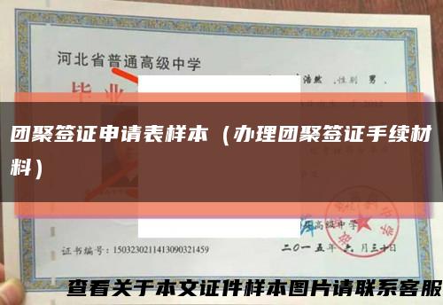 團聚簽證申請表樣本（辦理團聚簽證手續材料）縮略圖