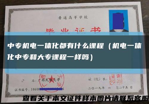 中專機電一體化都有什么課程（機電一體化中專和大專課程一樣嗎）縮略圖