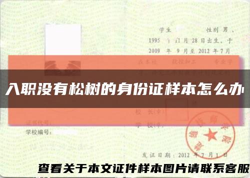 入職沒有松樹的身份證樣本怎么辦縮略圖