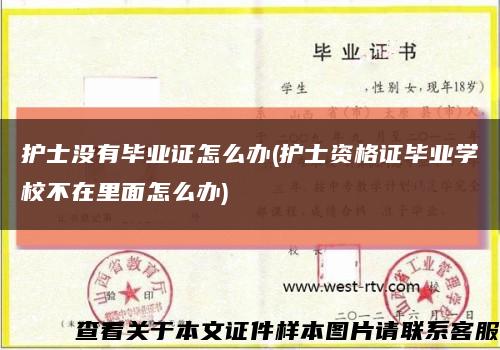 護士沒有畢業證怎么辦(護士資格證畢業學校不在里面怎么辦)縮略圖