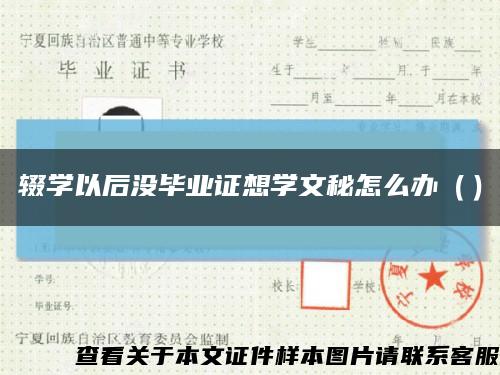 輟學以后沒畢業證想學文秘怎么辦（）縮略圖