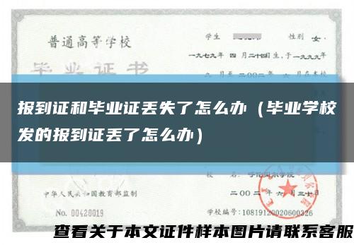 報到證和畢業證丟失了怎么辦（畢業學校發的報到證丟了怎么辦）縮略圖