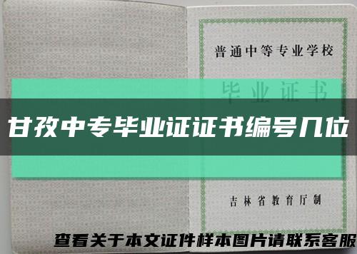 甘孜中專畢業證證書編號幾位縮略圖