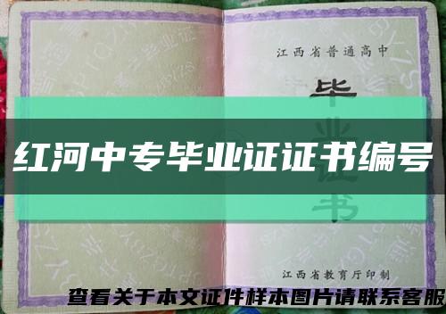 紅河中專畢業證證書編號縮略圖