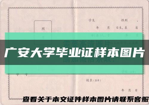 廣安大學畢業證樣本圖片縮略圖