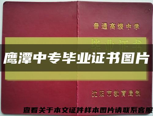鷹潭中專畢業證書圖片縮略圖