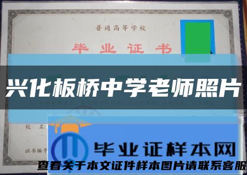 興化板橋中學老師照片縮略圖