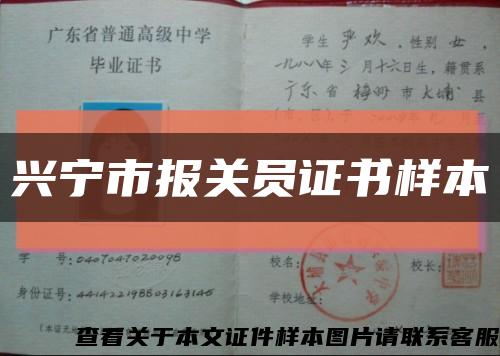興寧市報關員證書樣本縮略圖