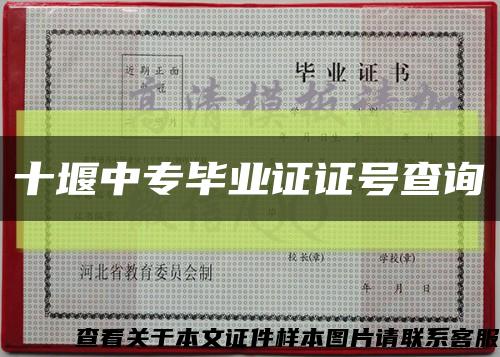 十堰中專畢業證證號查詢縮略圖