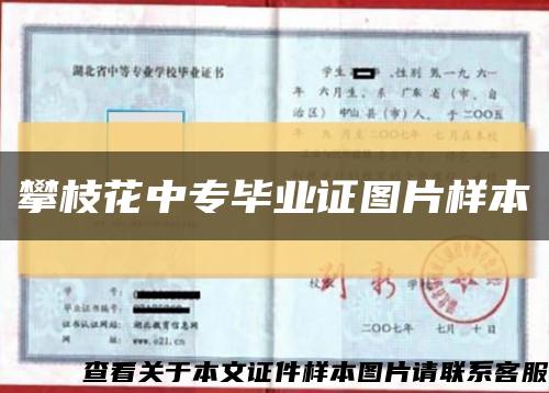 攀枝花中專畢業證圖片樣本縮略圖