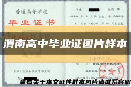 渭南高中畢業證圖片樣本縮略圖