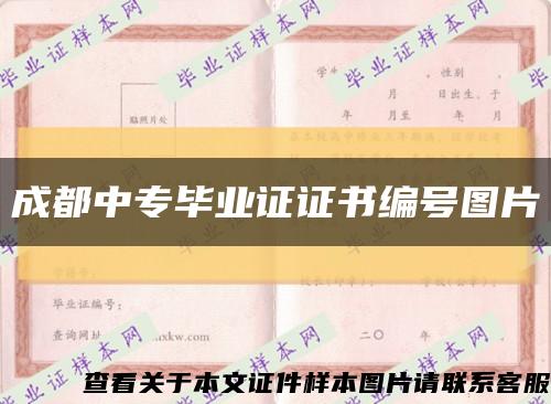 成都中專畢業證證書編號圖片縮略圖