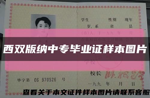 西雙版納中專畢業證樣本圖片縮略圖