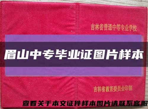 眉山中專畢業證圖片樣本縮略圖