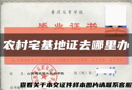 農村宅基地證去哪里辦縮略圖