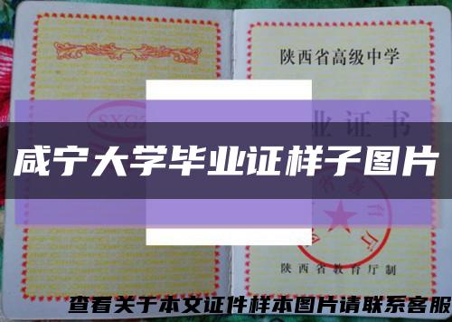 咸寧大學畢業證樣子圖片縮略圖
