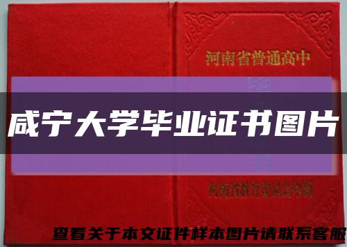 咸寧大學畢業證書圖片縮略圖