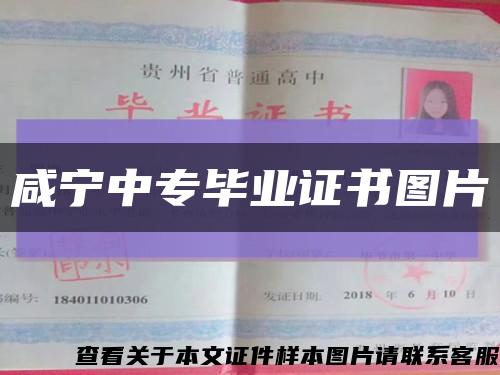 咸寧中專畢業證書圖片縮略圖