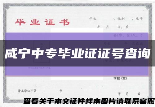 咸寧中專畢業證證號查詢縮略圖