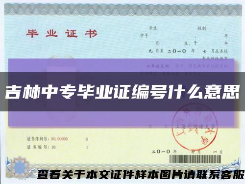 吉林中專畢業證編號什么意思縮略圖