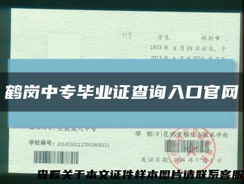 鶴崗中專畢業證查詢入口官網縮略圖