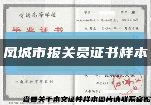 鳳城市報關員證書樣本縮略圖