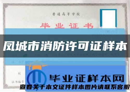 鳳城市消防許可證樣本縮略圖