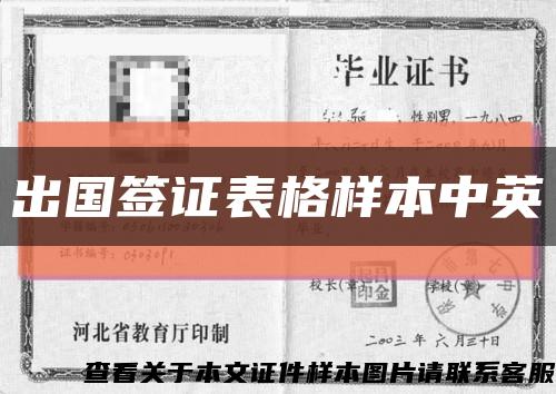 出國簽證表格樣本中英縮略圖