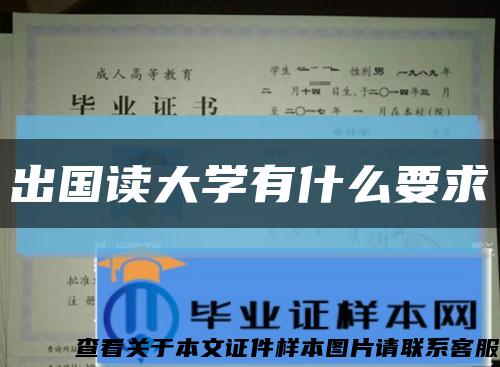 出國讀大學有什么要求縮略圖