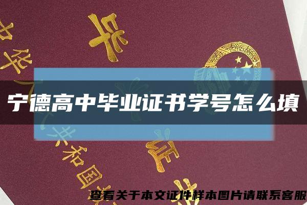 寧德高中畢業證書學號怎么填縮略圖