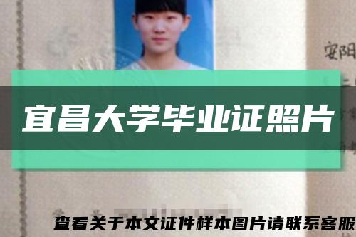 宜昌大學畢業證照片縮略圖