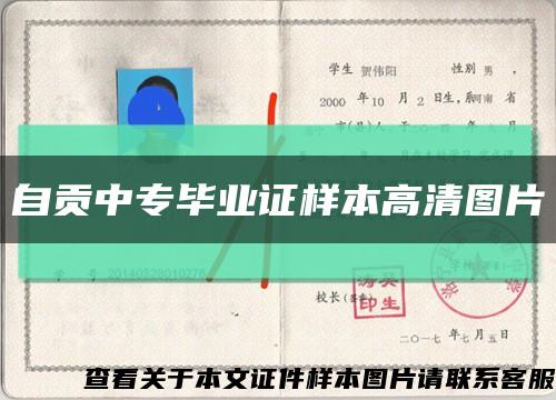 自貢中專畢業證樣本高清圖片縮略圖