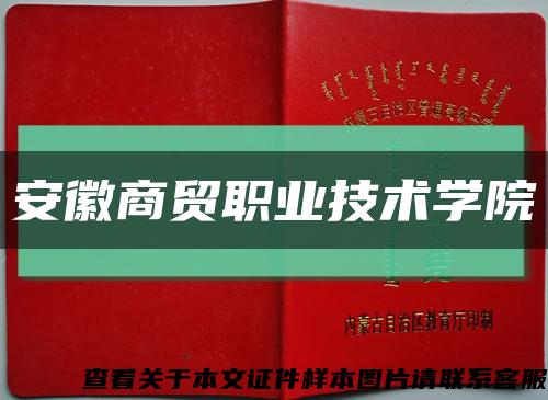 安徽商貿職業技術學院縮略圖