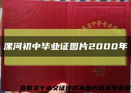 漯河初中畢業證圖片2000年縮略圖