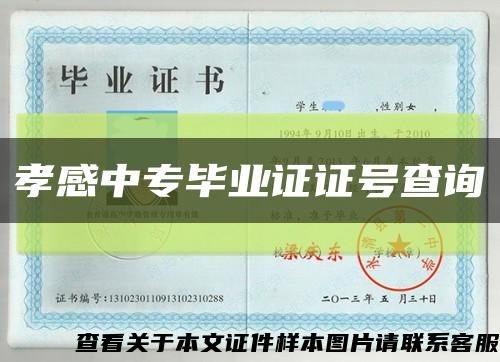 孝感中專畢業證證號查詢縮略圖