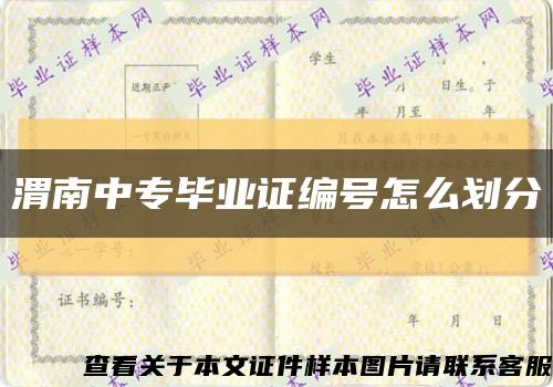 渭南中專畢業證編號怎么劃分縮略圖