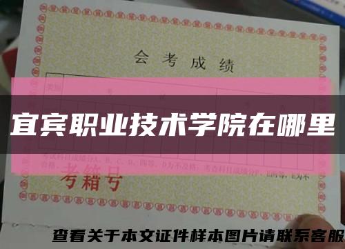 宜賓職業技術學院在哪里縮略圖