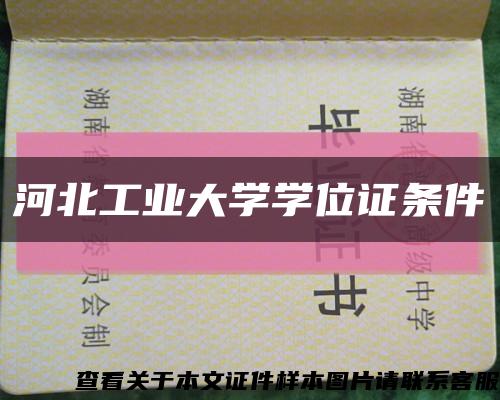 河北工業大學學位證條件縮略圖