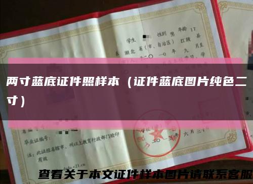 兩寸藍底證件照樣本（證件藍底圖片純色二寸）縮略圖