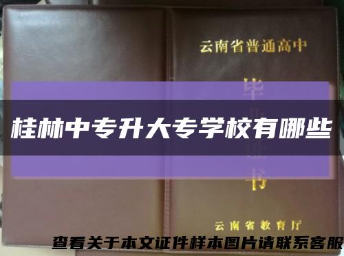 桂林中專升大專學校有哪些縮略圖