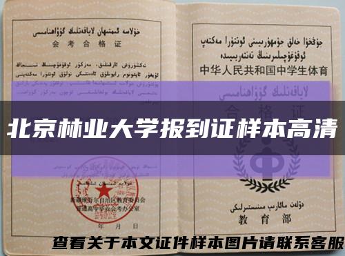 北京林業大學報到證樣本高清縮略圖