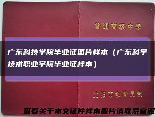 廣東科技學院畢業證圖片樣本（廣東科學技術職業學院畢業證樣本）縮略圖