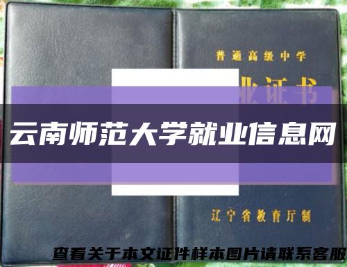 云南師范大學就業信息網縮略圖