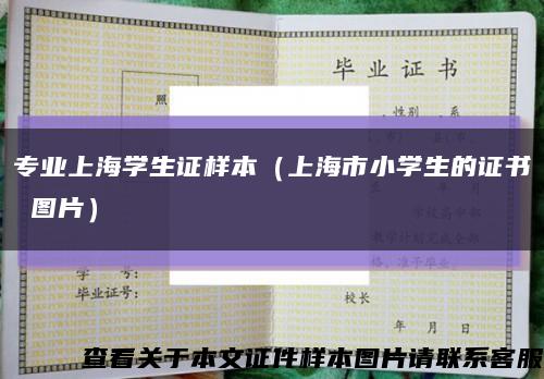 專業上海學生證樣本（上海市小學生的證書 圖片）縮略圖
