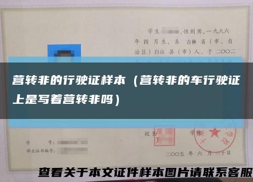 營轉非的行駛證樣本（營轉非的車行駛證上是寫著營轉非嗎）縮略圖