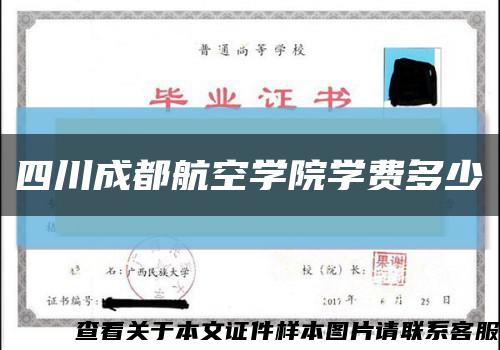 四川成都航空學院學費多少縮略圖