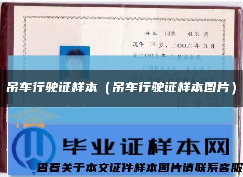 吊車行駛證樣本（吊車行駛證樣本圖片）縮略圖