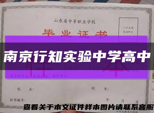 南京行知實驗中學高中縮略圖
